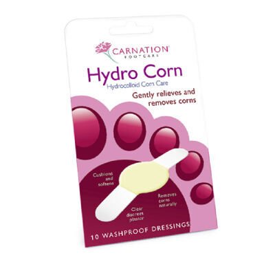Carnation Hydrocorn 10pk