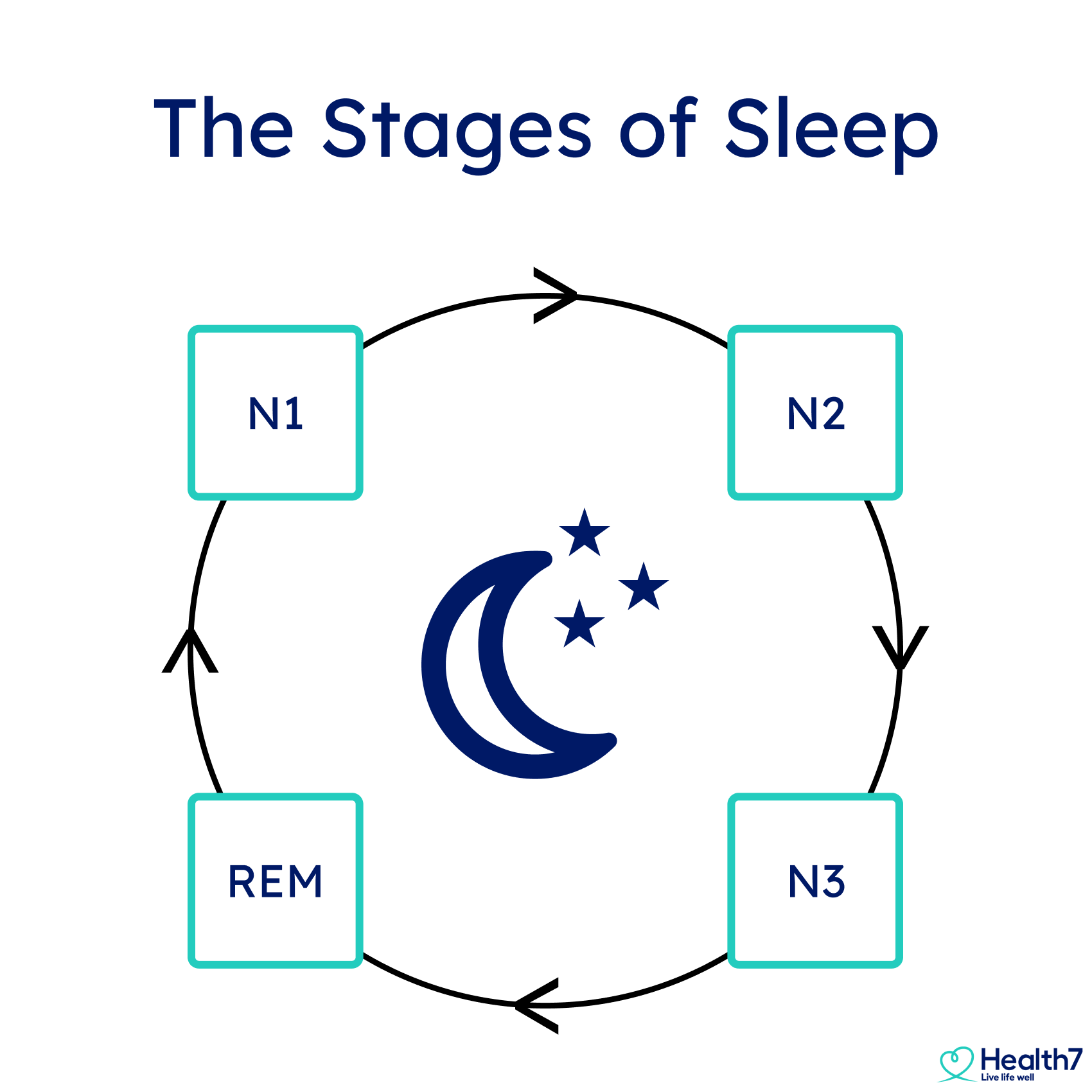 The Stages of Sleep.png